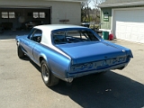 Cougar just painted